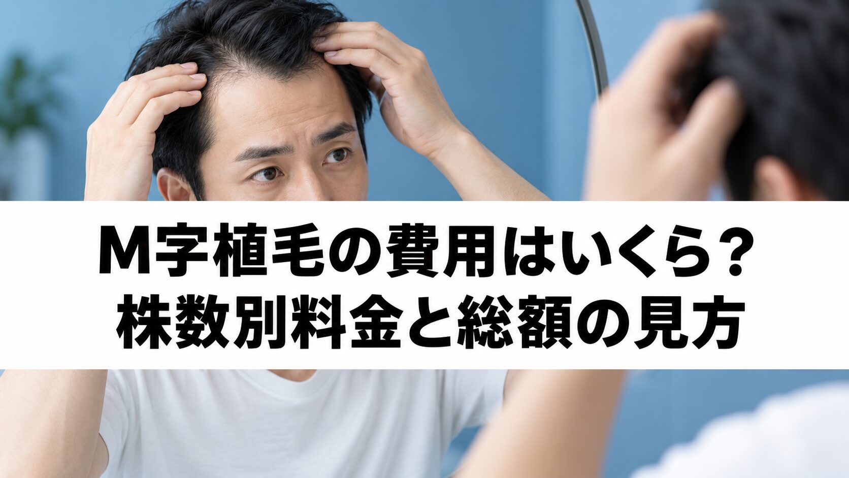 M字植毛の株数別施術料と総額の確認