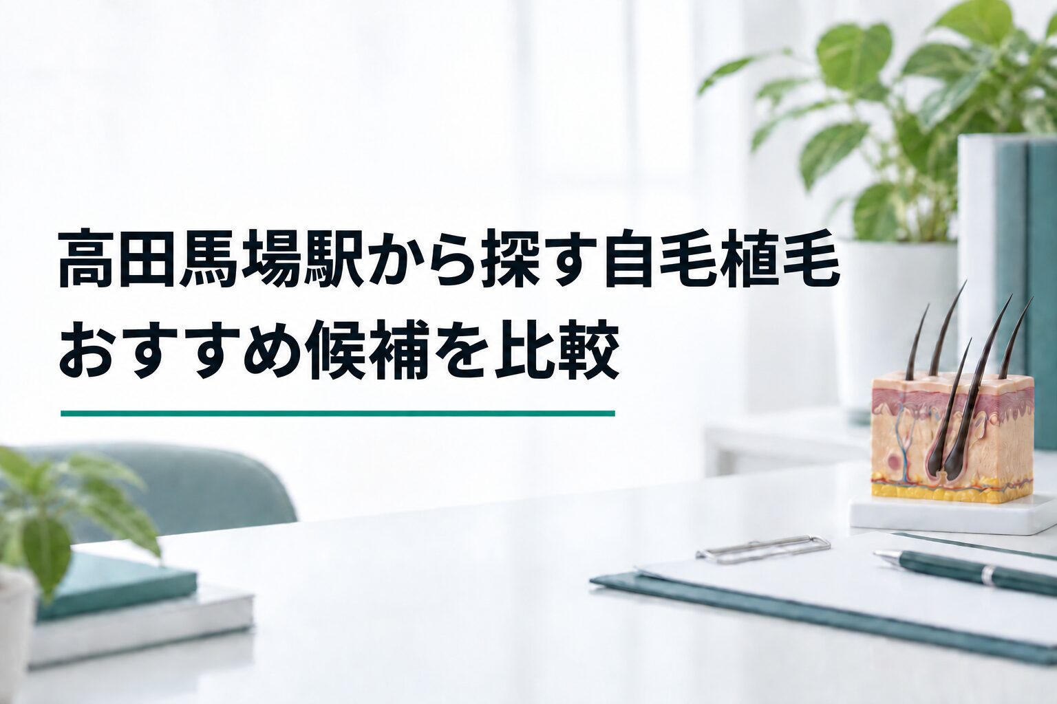 高田馬場駅から探す自毛植毛｜おすすめ候補を比較（解説用のイメージ画像）